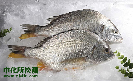 凍魚(yú)檢測(cè)